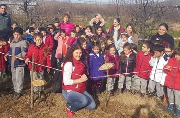 Dalından Taptaze Meyveler Topladık.