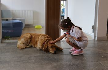 Can Dostlarımız